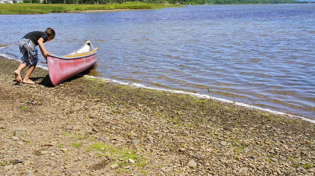 Chalets Du Bout Du Monde Gaspé Eksteriør billede